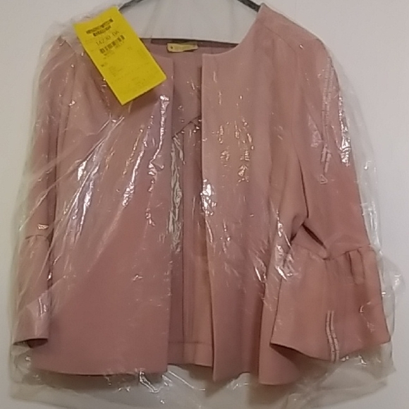 Ann Taylor Soft Pink Blazer - Picture 2 of 7